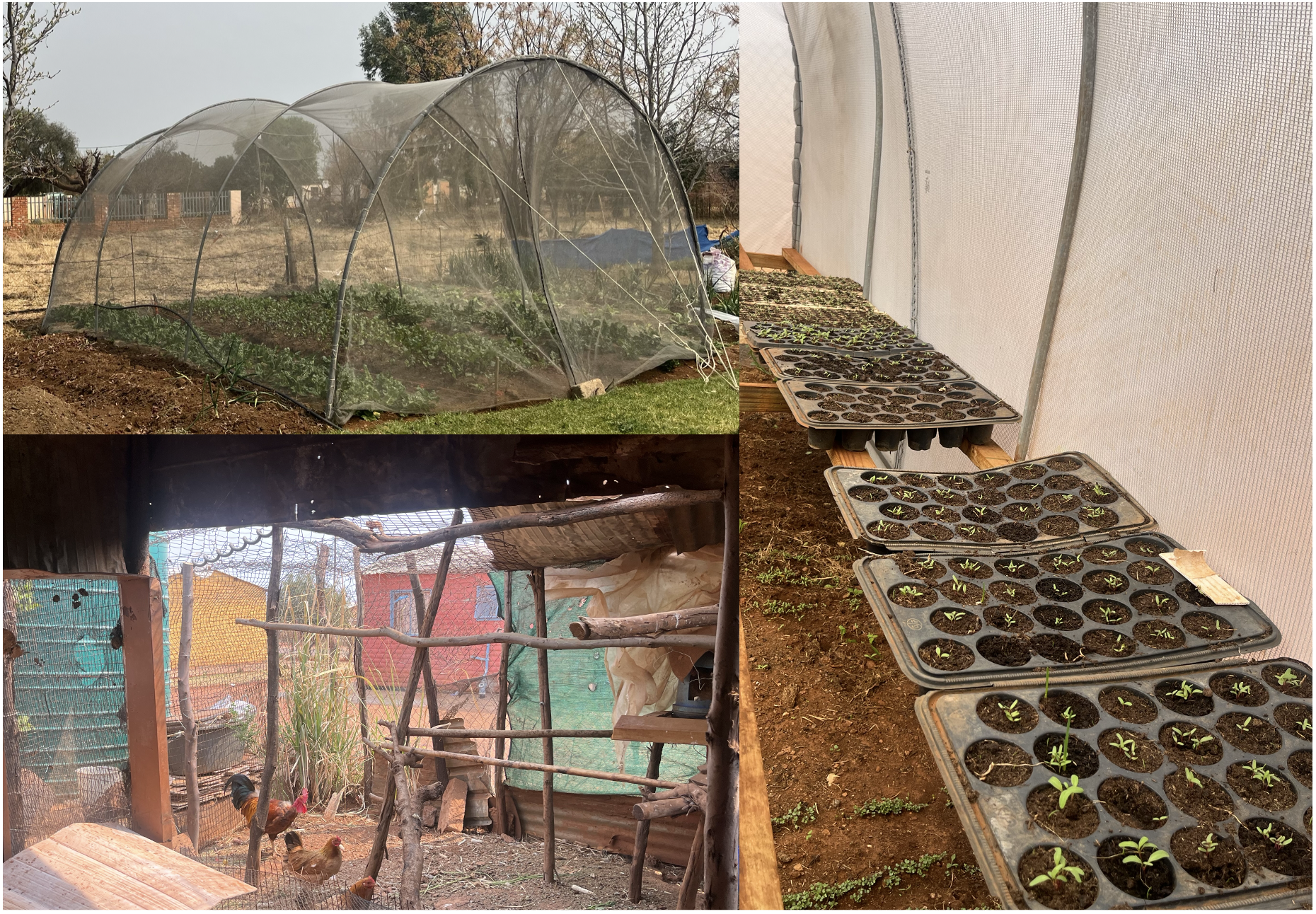Community livelihood programme